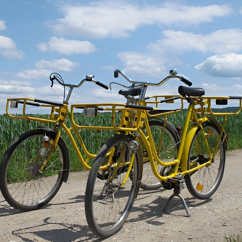 Gebrauchte E-Bikes mit Gewährleistung