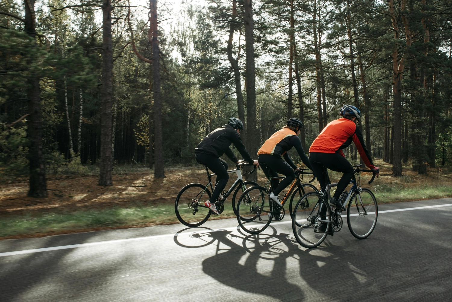 Fahrrad Service und Inspektion